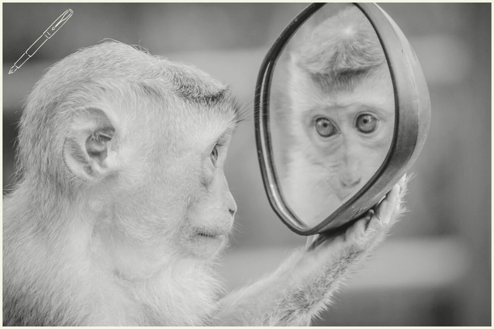 Journaling Prompt: The Monkey Trap